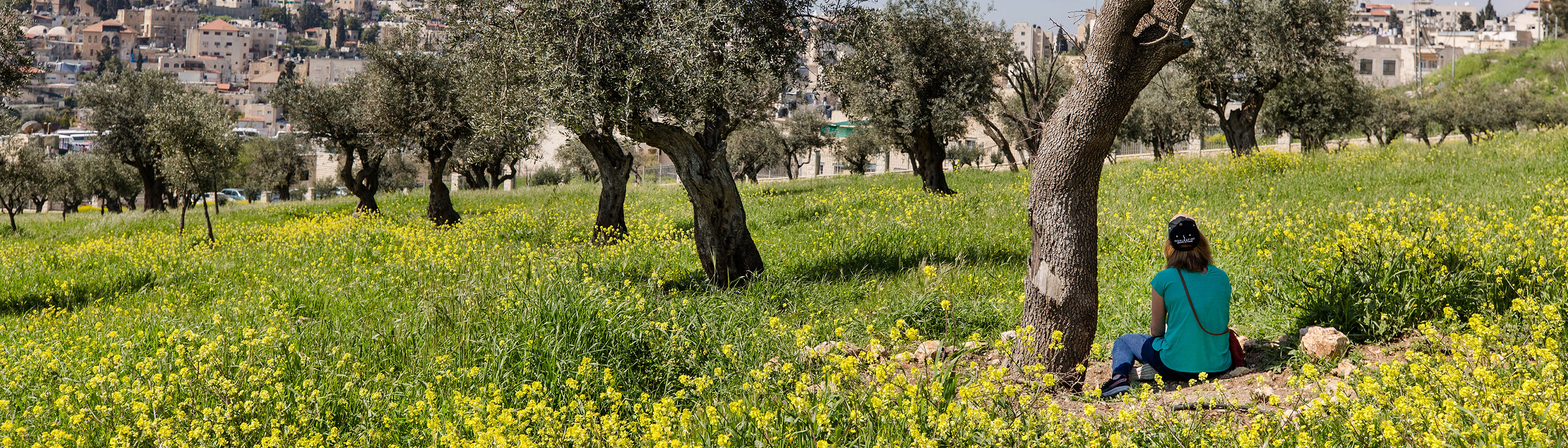 Israel Itinerary Day 7-9-10