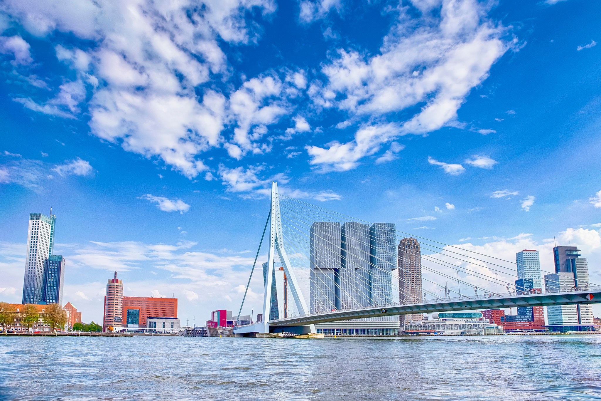Rotterdam skyline viewed from the water, featuring the iconic Erasmus Bridge. Modern skyscrapers rise against a bright blue sky filled with scattered clouds, showcasing the city's striking contemporary architecture.