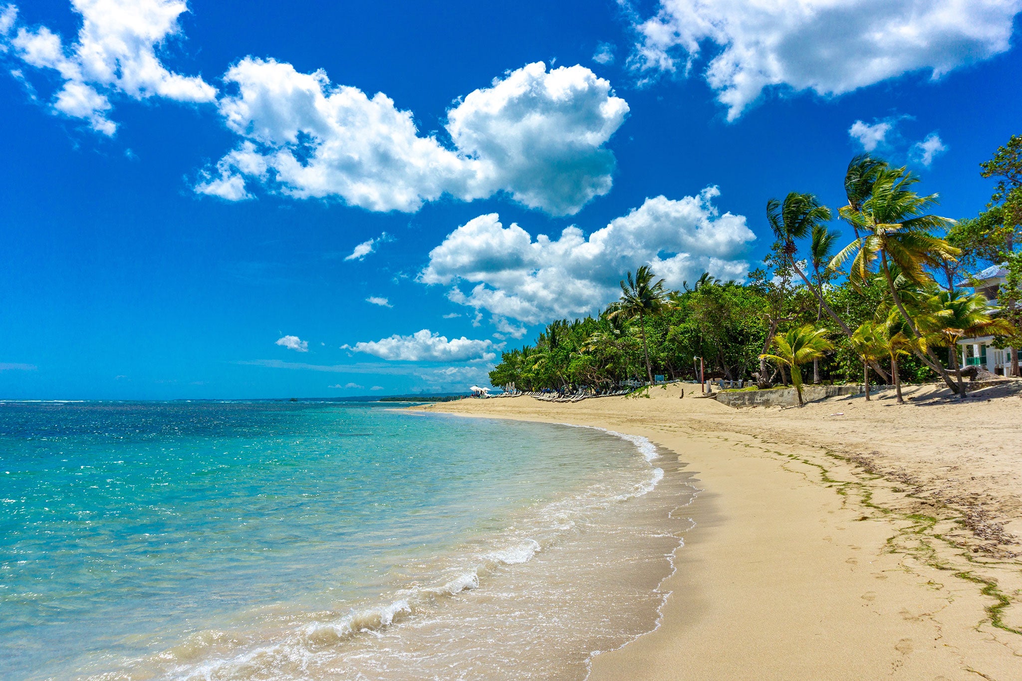 A tranquil tropical beach stretches along a turquoise shoreline beneath a bright blue sky filled with white clouds. Palm trees sway along the sandy coast as gentle waves lap the shore.