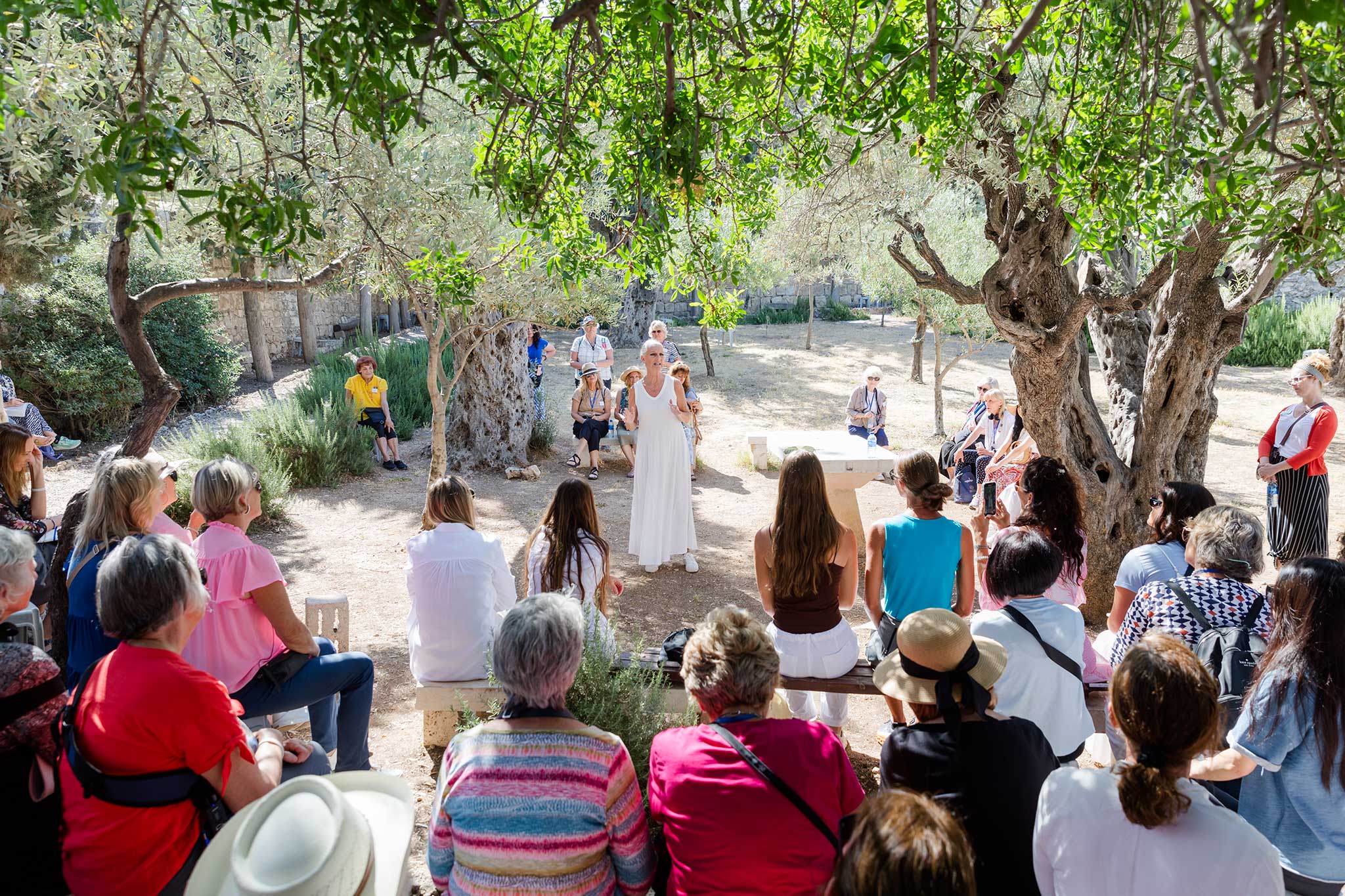 A group of Christian travelers gathers beneath olive trees, listening to Anne Graham Lotz during an outdoor teaching experience in Israel.