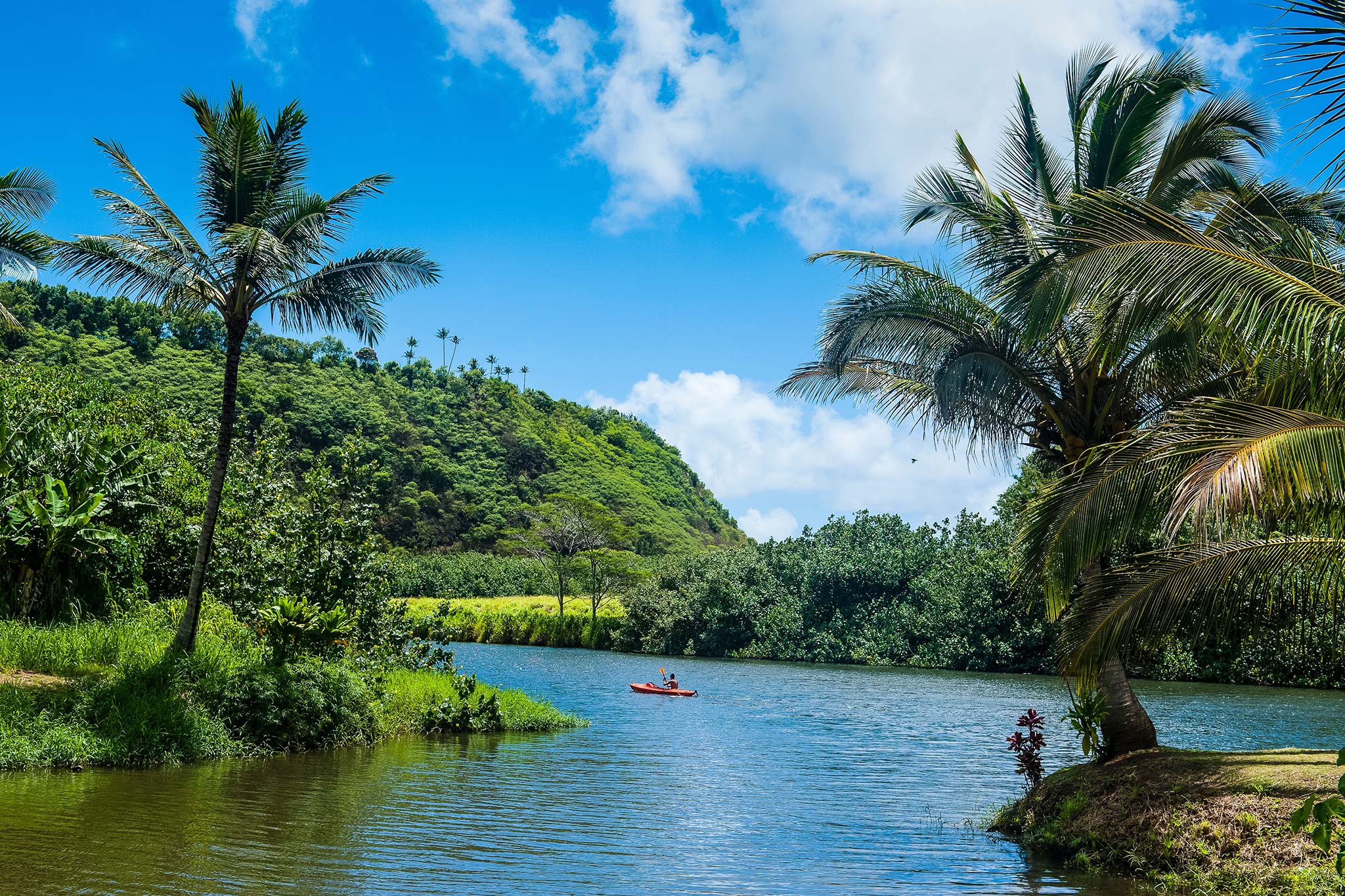 Tropical river with palm trees, green hills, and a kayak under a bright blue sky