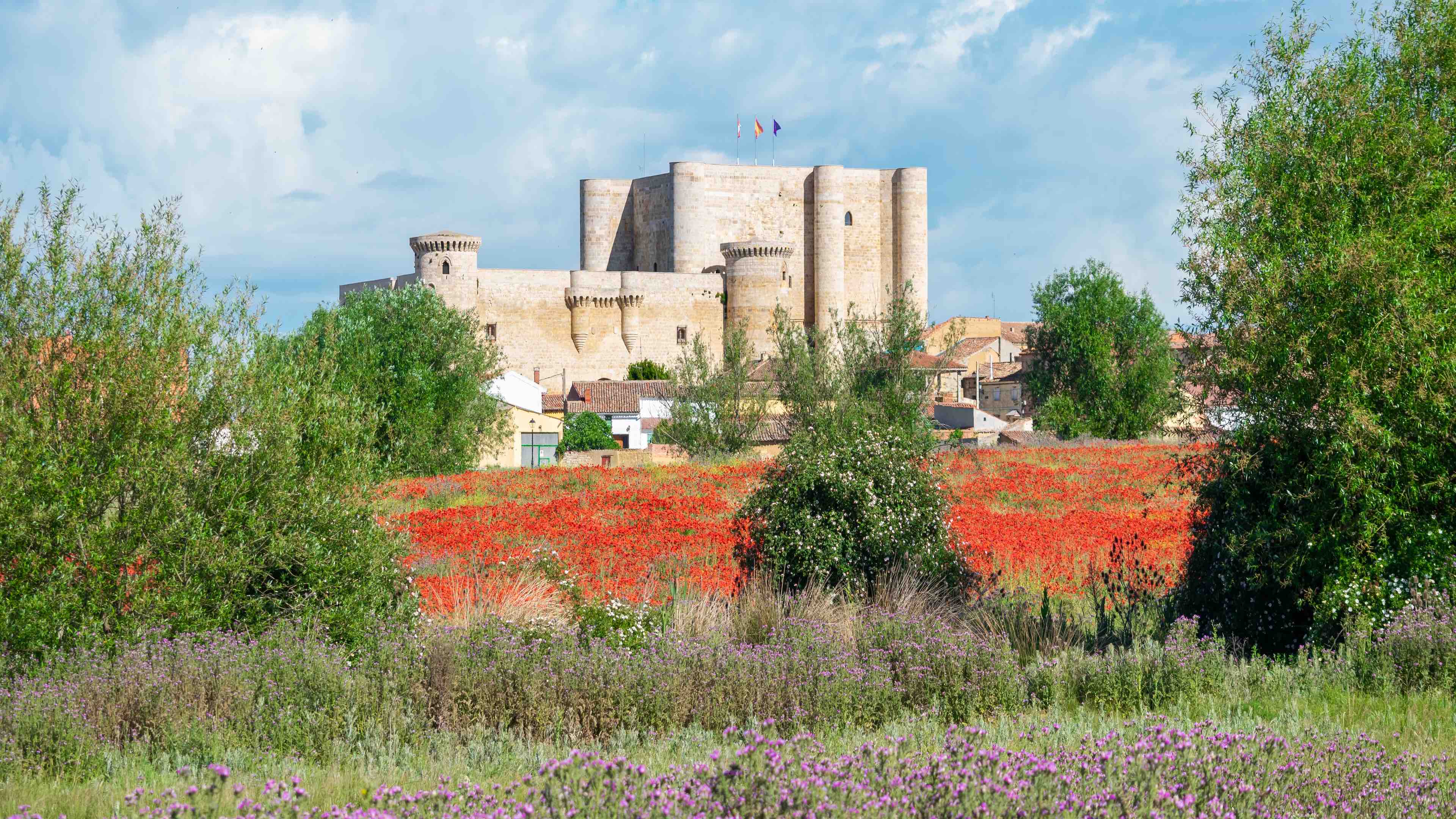 Meadow planted with red poppie flowers with the medieval castle of the fifteenth century in the town of Fuentes de Valdepero, Spain