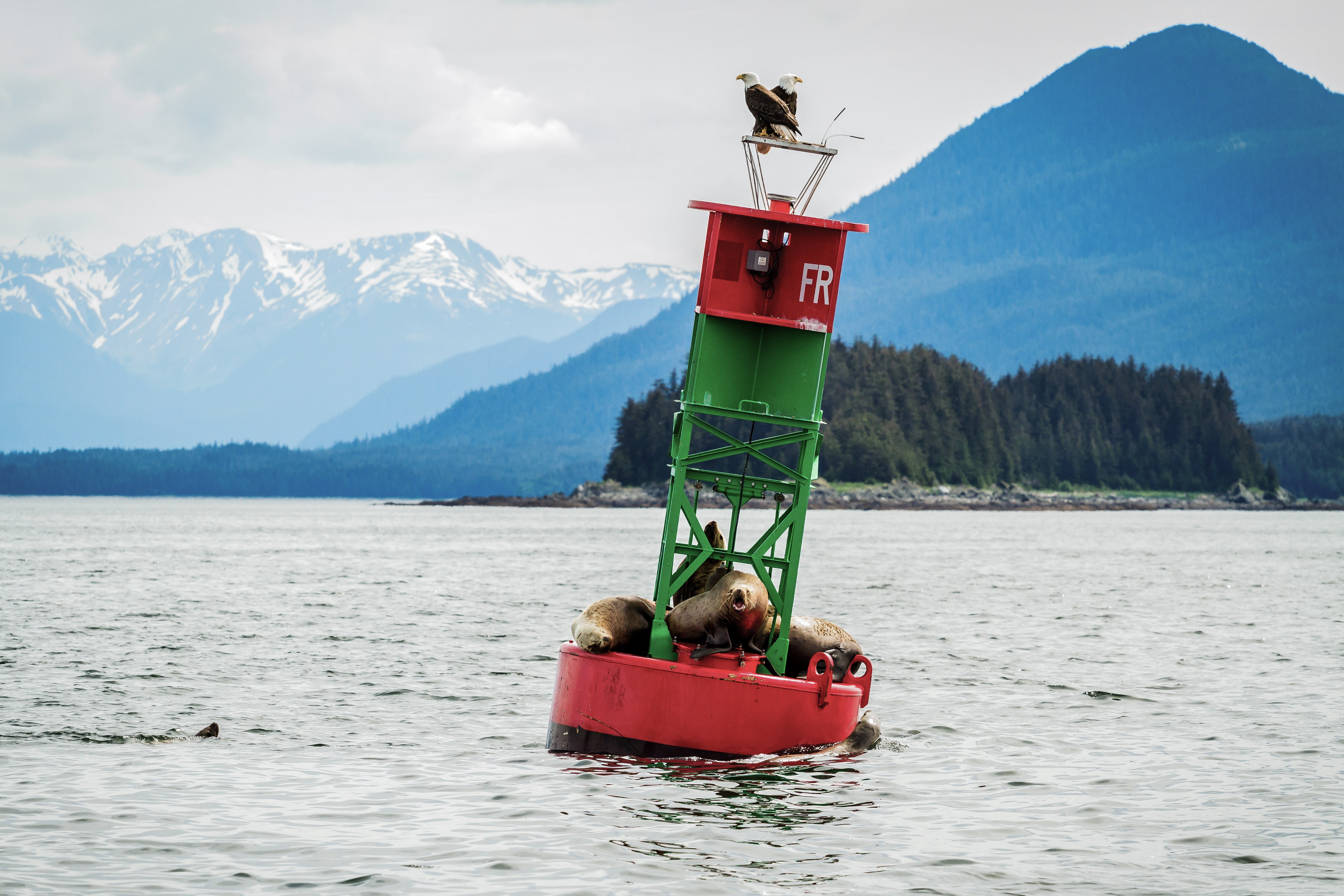 Alaska buoy  
