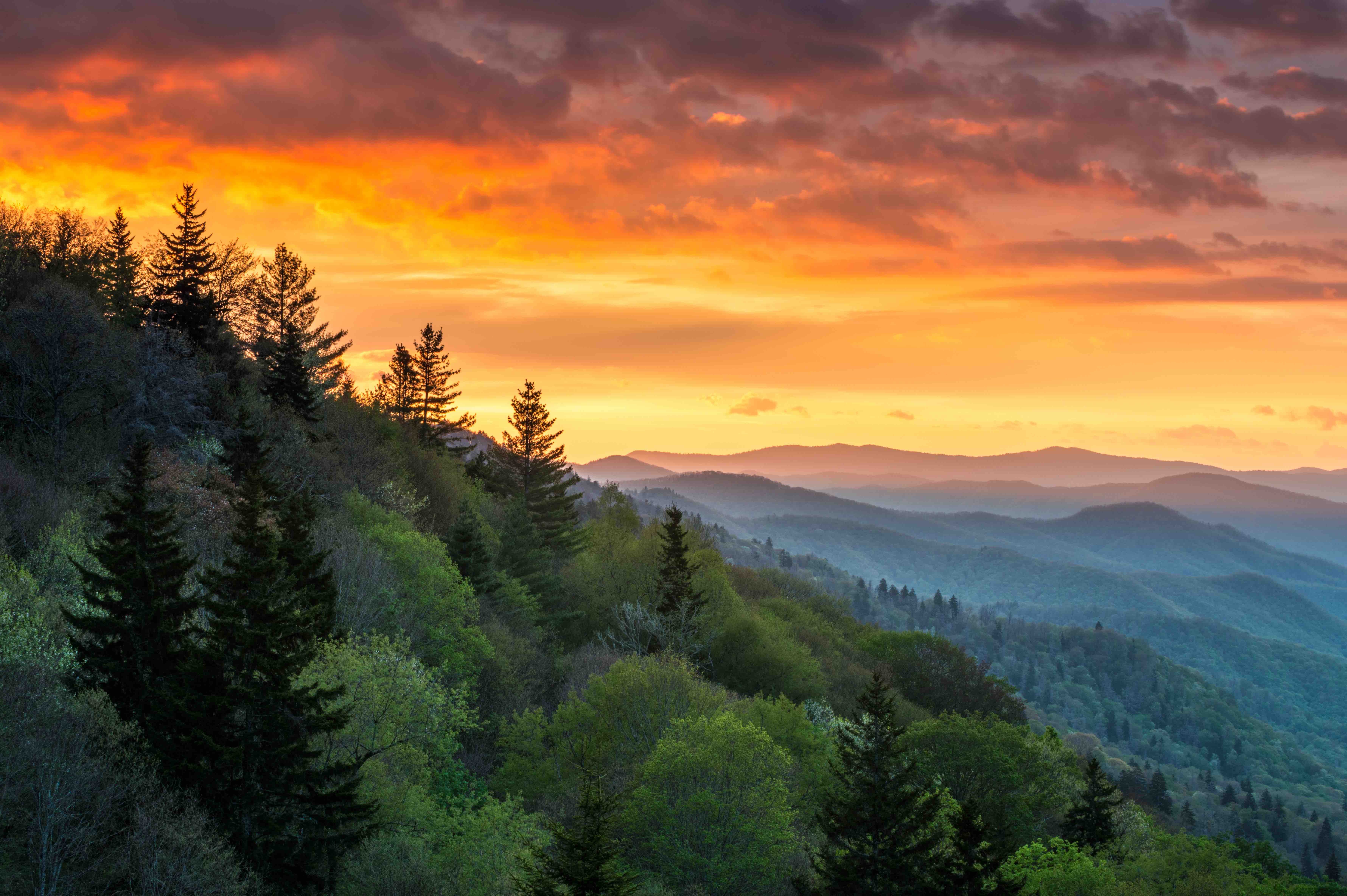 The Great Smoky Mountains of Tennessee