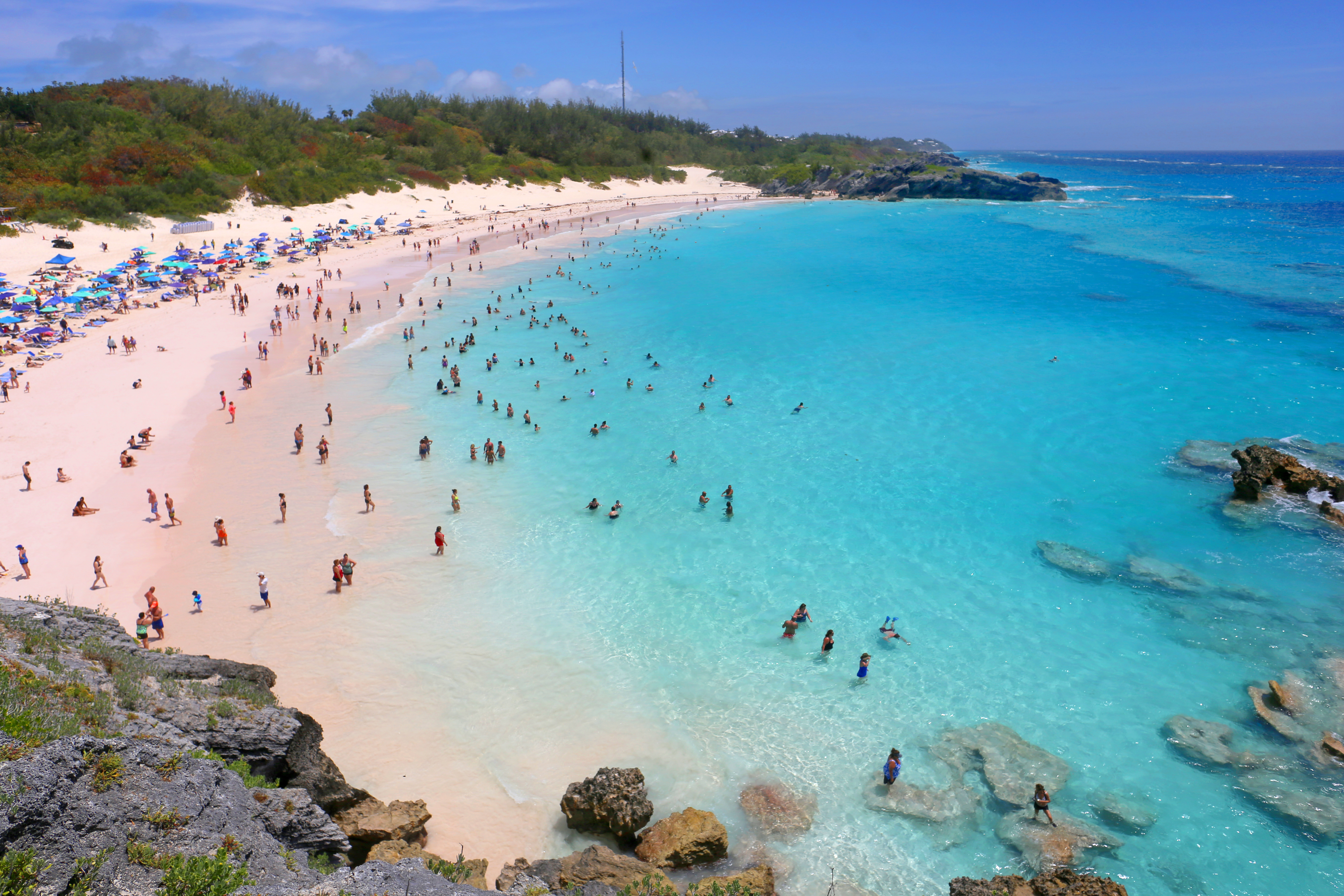 pink sands Horseshoe Bay Bermuda