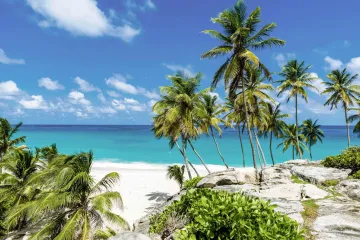Caribbean Bottom Bay Barbados