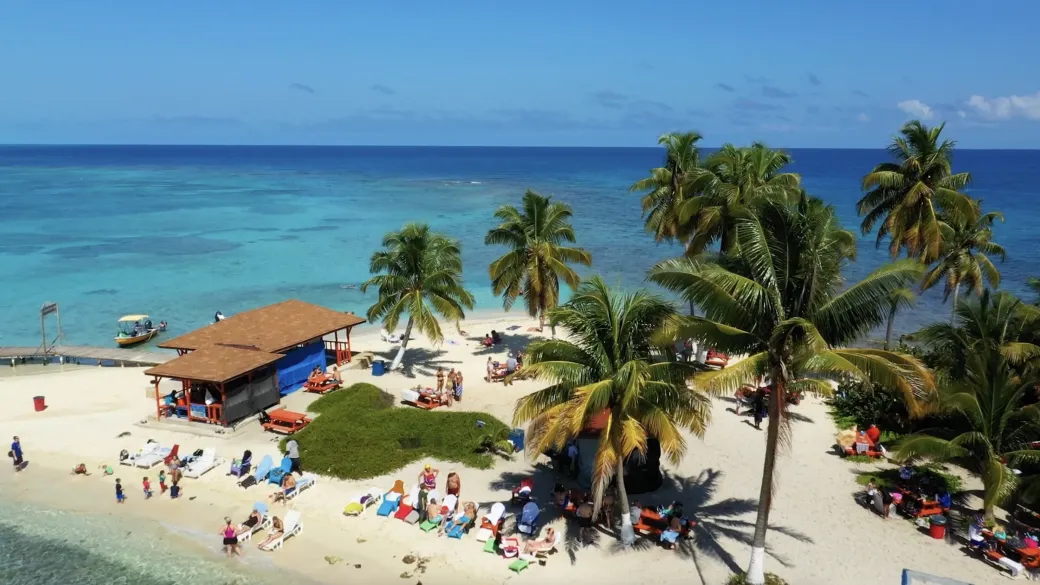 Aerial view of a beach, palm trees and the ocean