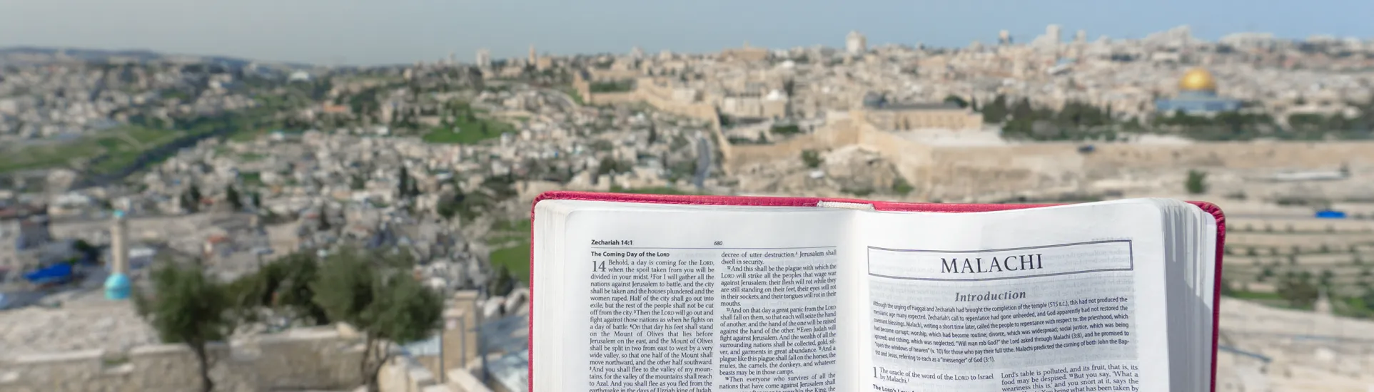 Bible in Israel