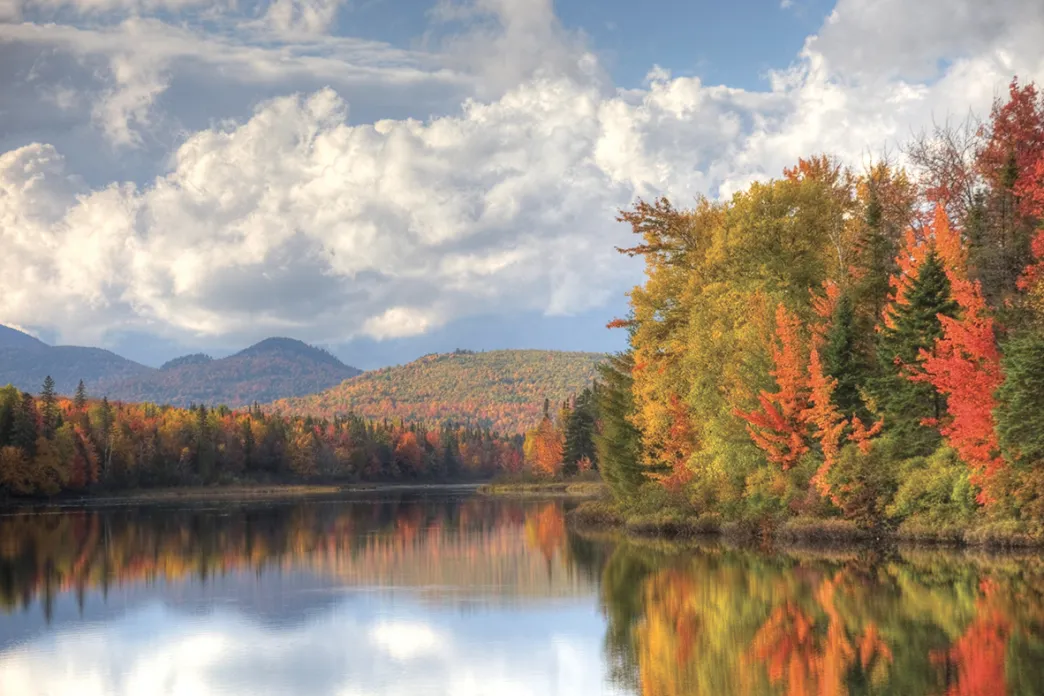 Coastline with Fall trees