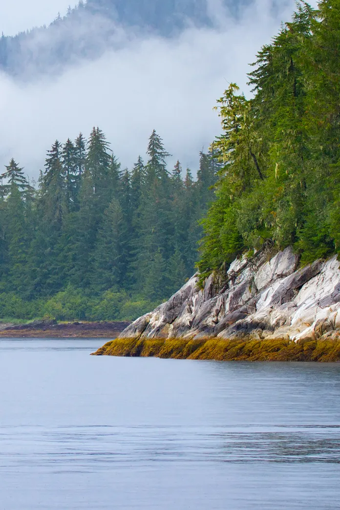 Scenic Cruising Stephens Passage