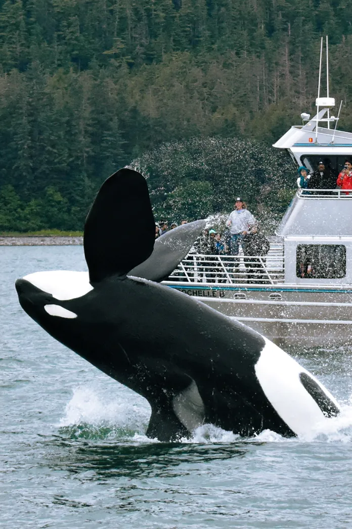 Alaskan Explorations