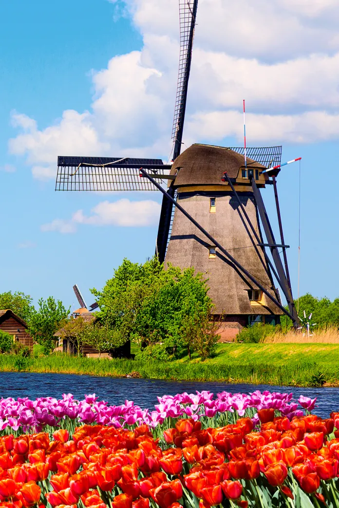Windmill Rotterdam