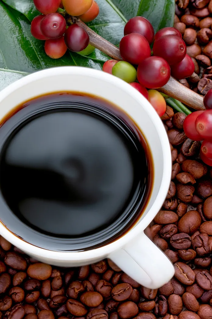 Cup of coffee