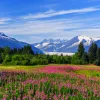 ALASKA
