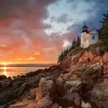 CANADA/NEW