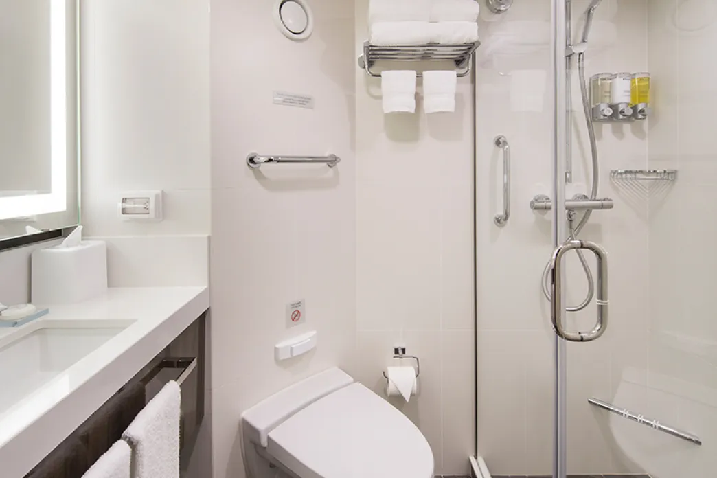 Nieuw Statendam Verandah bathroom