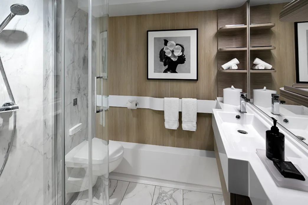 Celebrity Apex - Inside Stateroom bathroom