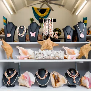 A display of jewelry and seashells